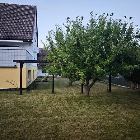 Buhnen & * Börgerende-Rethwisch